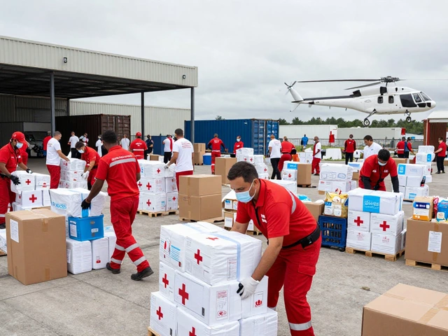 What is the Most Popular Charity? A Global and Local Guide